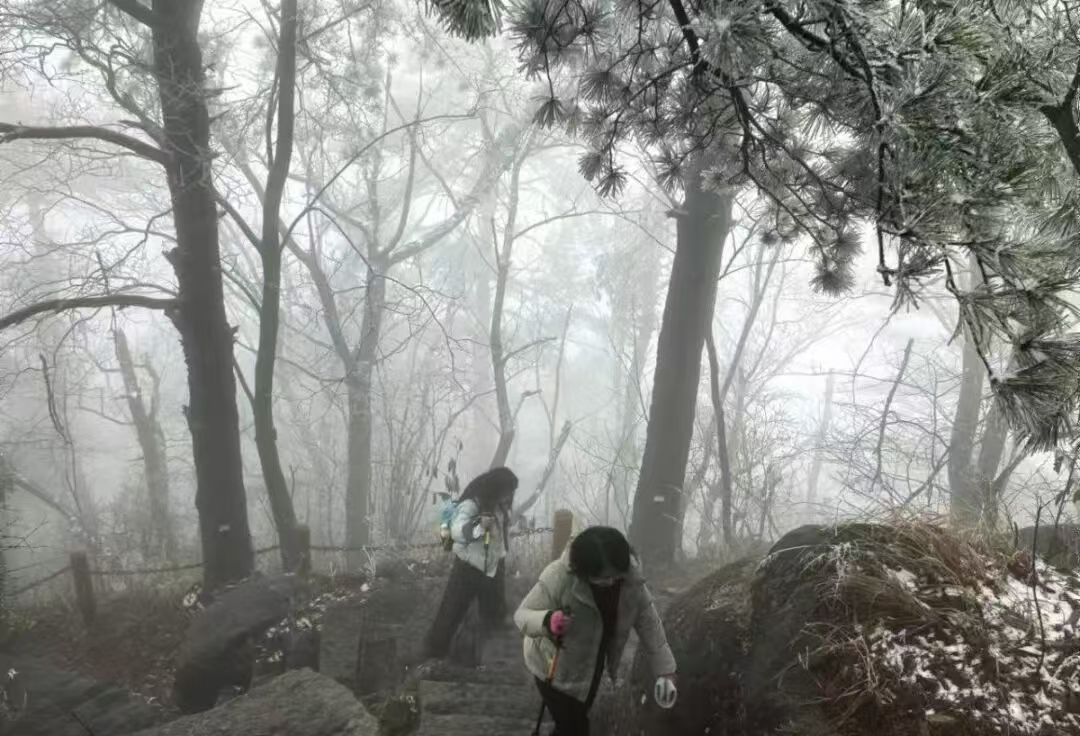 addd337304e12391572a355fb0e0f648.jpg